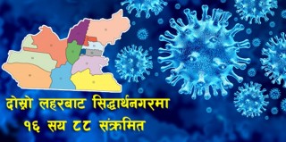 सिद्धार्थनगरमा बैशाख यता १६ सय ८८ संक्रमित,  वडा नम्बर ८ मा सबै भन्दा बढि