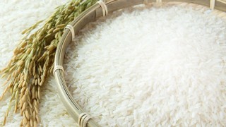 नेपाललाई चामलमा आत्मनिर्भर हुन ५ वर्ष लाग्ने