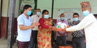 लागत साझेदारीमा तिलोत्तमाका ५० जना किसानलाई गाई