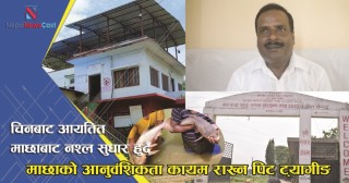 चिनबाट आयतित माछाबाट नश्ल सुधार हुदैं, २ वर्षमा प्रतिस्थापन गरिने
