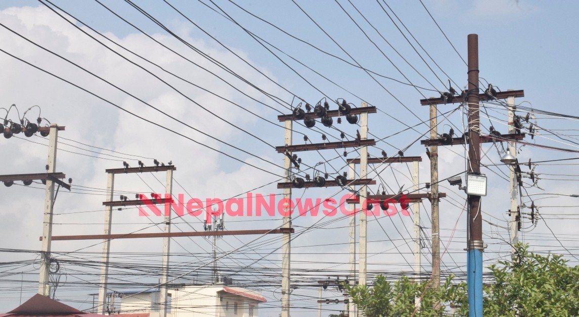 २० युनिटसम्म खपत गर्नेलाई  निःशुल्क बत्ती