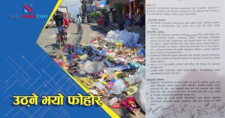 उठ्ने भयो सिद्धार्थनगरको फोहोर, अल्पकालिन, मध्यकालिन र दीर्घकालिन कार्यक्रम गरी समस्या समाधान हुने