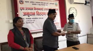 तिलोत्तमाका दुग्ध उत्पादक किसानलाई ४६ लाख अनुदान