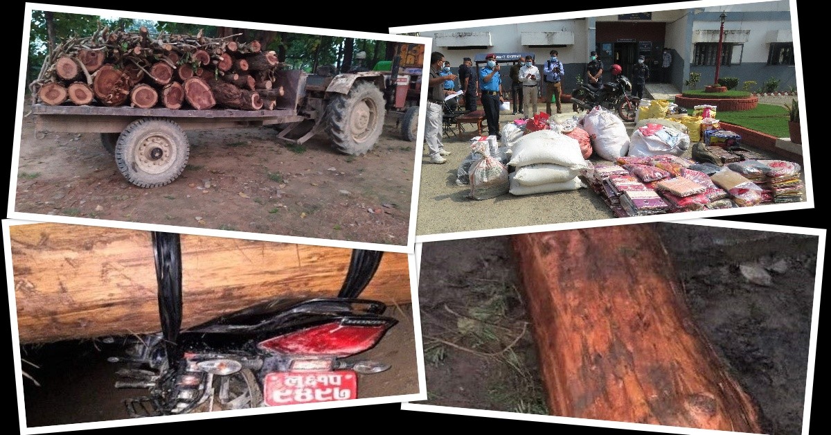 ६ लाख बढिकाे अबैध काठ बरामद