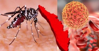 भारतमा जिका भाइरसको सङ्क्रमण फैलिएसँगै नेपालमा पनि जोखिम