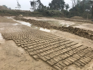वेमौसमी वर्षाका कारण रुपन्देहीमा करीब ८ करोड मुल्य वरावरका काचो ईटा नष्ट