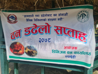 वन डढेलो सप्ताह सुरु