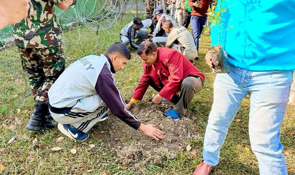 विश्व पृथ्वी दिवसको अवसरमा लुम्बिनीमा  वृक्षारोपण सम्पन्न ।