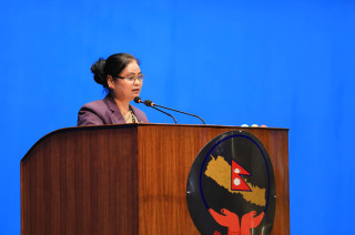 महिला लक्षित अभिव्यक्तिप्रति महिला मन्त्री चौधरीको आपत्ति, आत्मालोचना गर्न सम्बन्धित सांसदलाई आग्रह